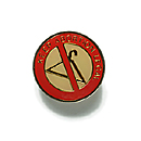 Save Roe Memorial Pin